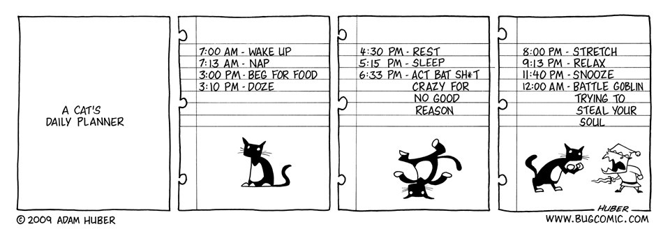Figure 2.3. A cat's daily routine as an example loop. Original comic from https://www.bugmartini.com/comic/cats-eye/.