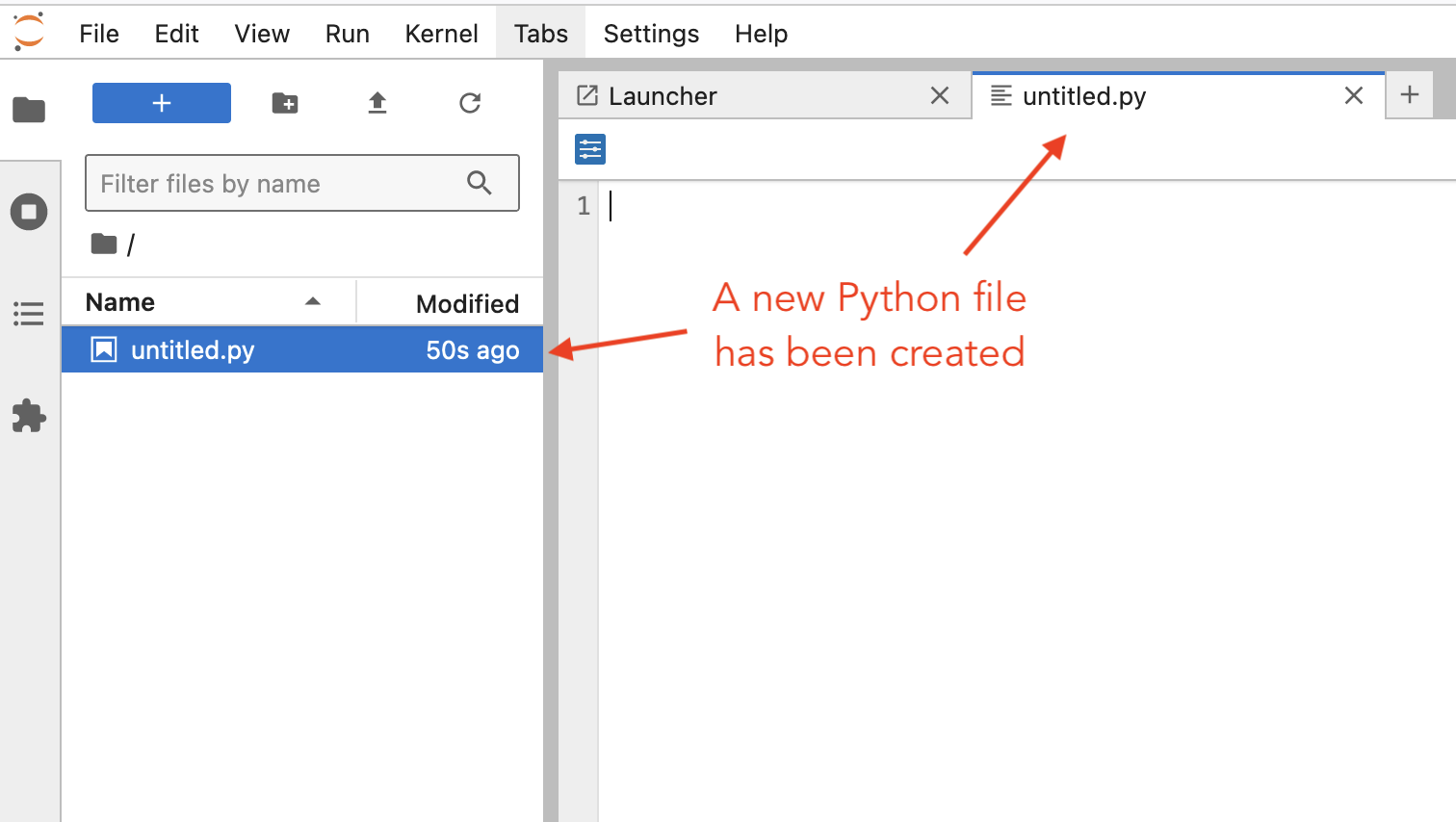 Figure 2.6. The new empty Python file in JupyterLab.